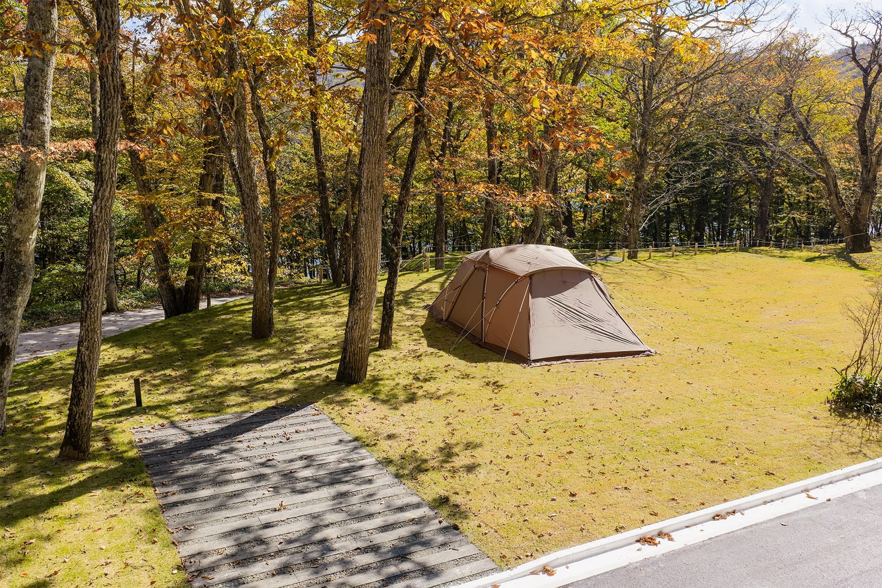 区画オートサイト