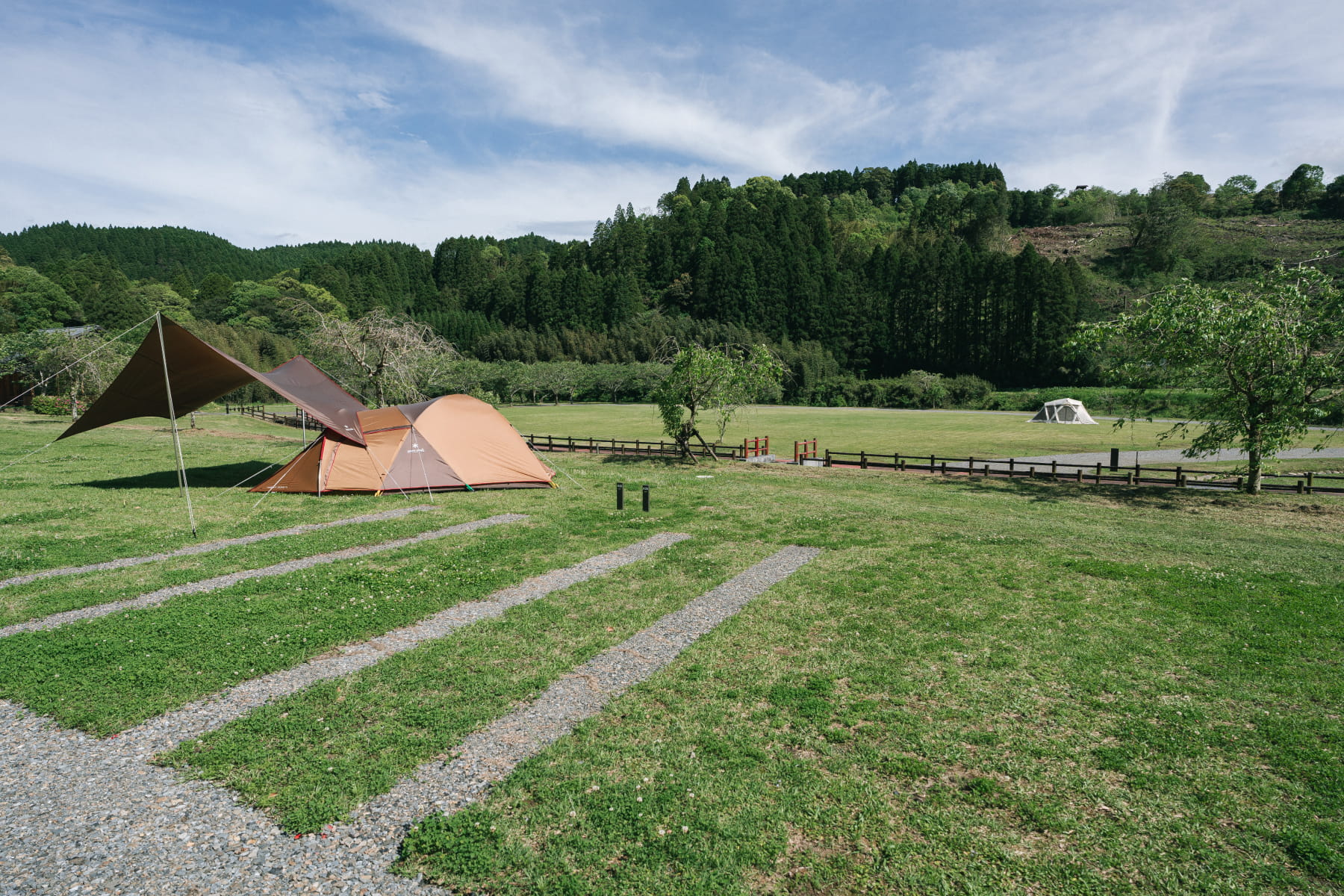 区画オートサイト(A)