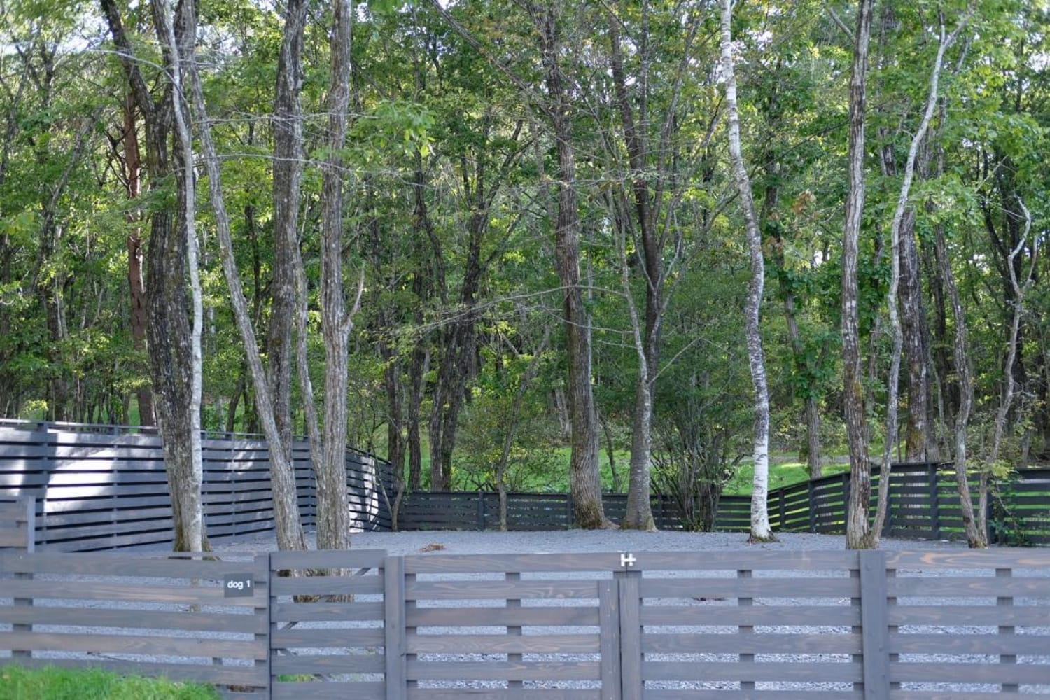 ドッグランサイト(大)