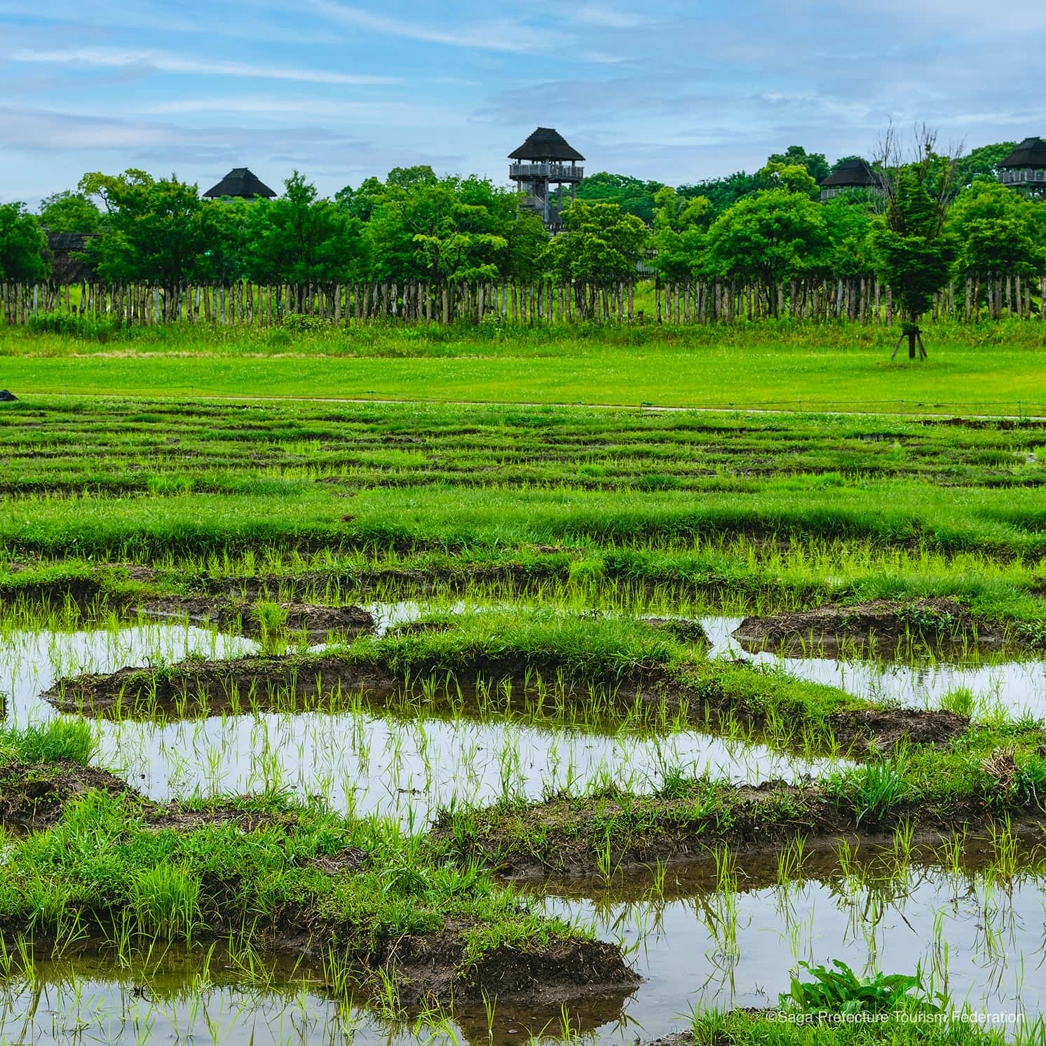 吉野ヶ里歴史公園との関係性に繋ぐブリッジコピー