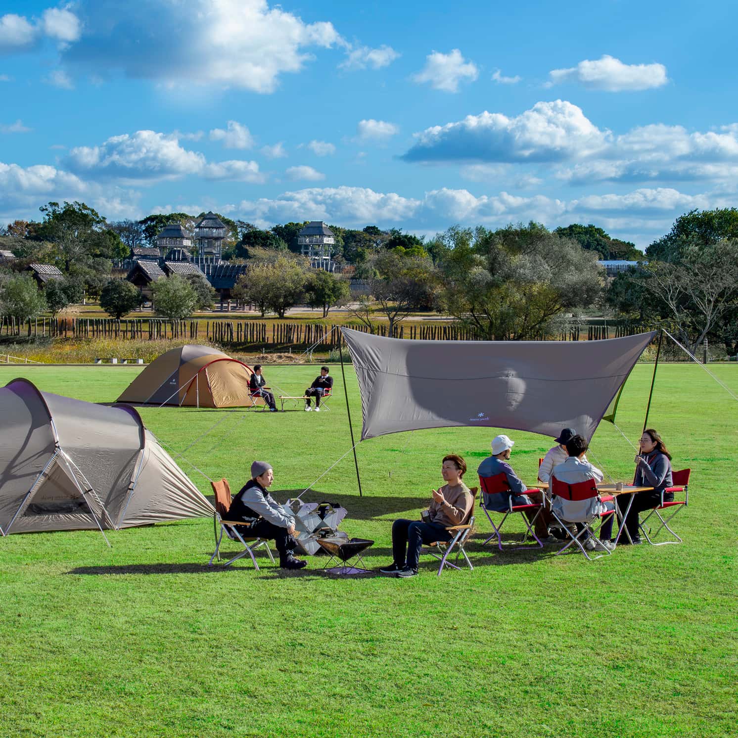 フィールドの様子